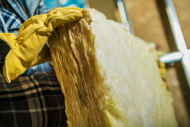 Best Insulation Maintenance and Repair in Princeton, MN